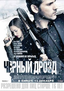 Чёрный дрозд