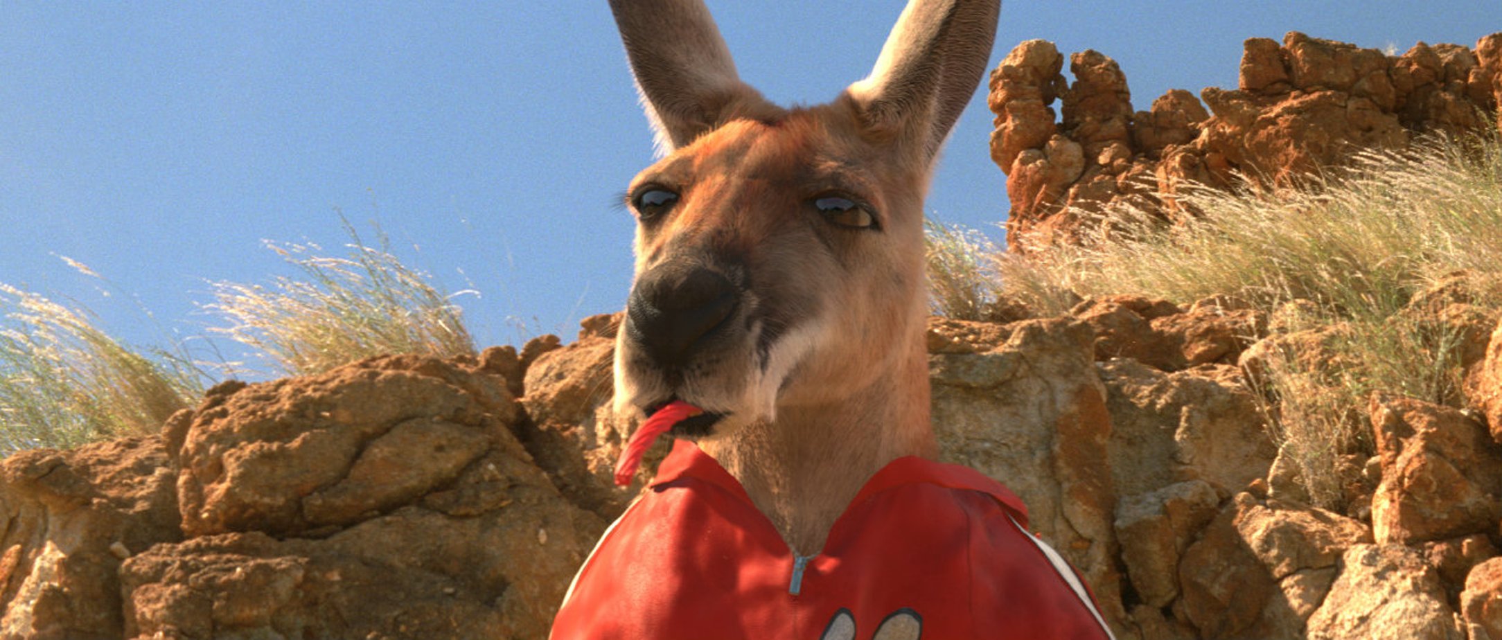 Фильм про кенгуру 2003