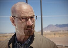 Актёры «Аферы по-американски» и сериала «Во все тяжкие» признаны лучшими в 2013 году