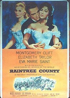 Округ Рэйнтри