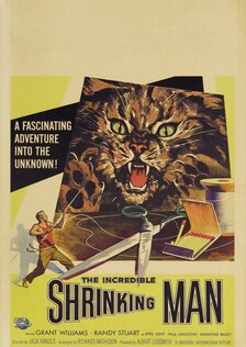 Невероятно худеющий человек