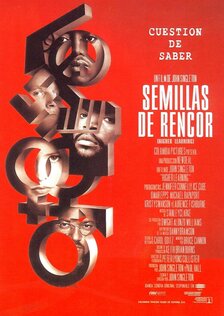 Высшее образование