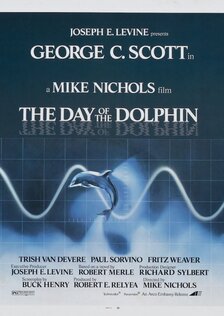 День дельфина