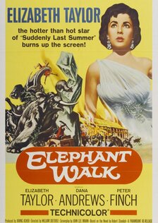 Слоновья тропа