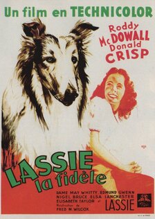 Лесси возвращается домой