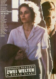 Разделенный мир