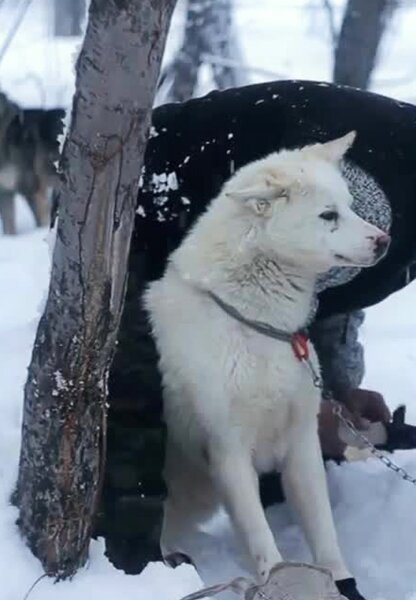 Исходный код