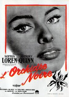 Черная орхидея