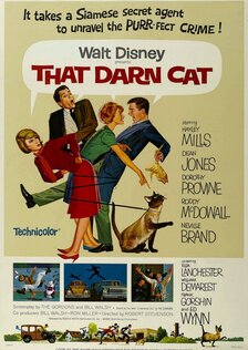 Эта дикая кошка