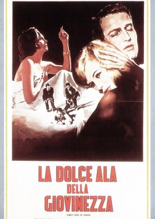 Сладкоголосая птица юности