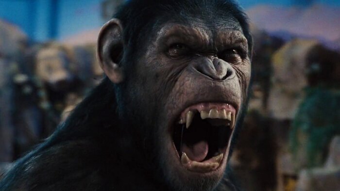 Фильм «Планета обезьян: Революция» закрывает ММКФ