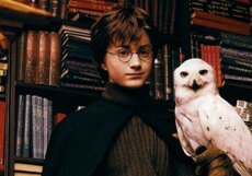 Музыкальный хит из «Гарри Поттера» сыграли на стаканах