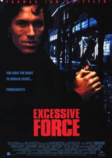 Чрезмерное насилие