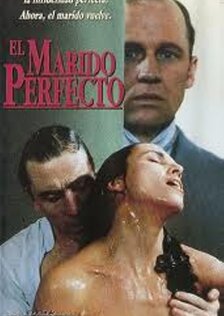 Идеальный муж