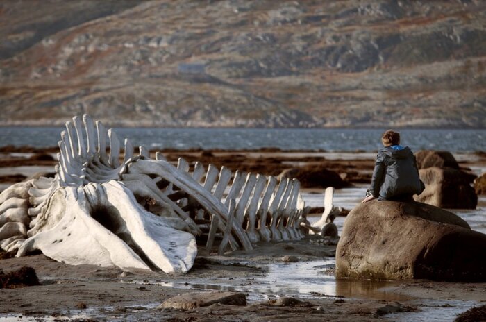 Москвич украсил скелетом кита из «Левиафана» свой двор