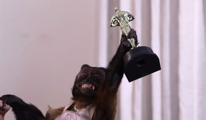 20-летнюю обезьяну наградили за вклад в кинематограф 