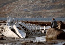 Владимир Мединский высказался о поражении «Левиафана» на «Оскаре»