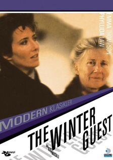 Зимний гость