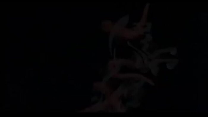 Интакто (2001) — Интакто. Трейлер №1 — Фильм Про