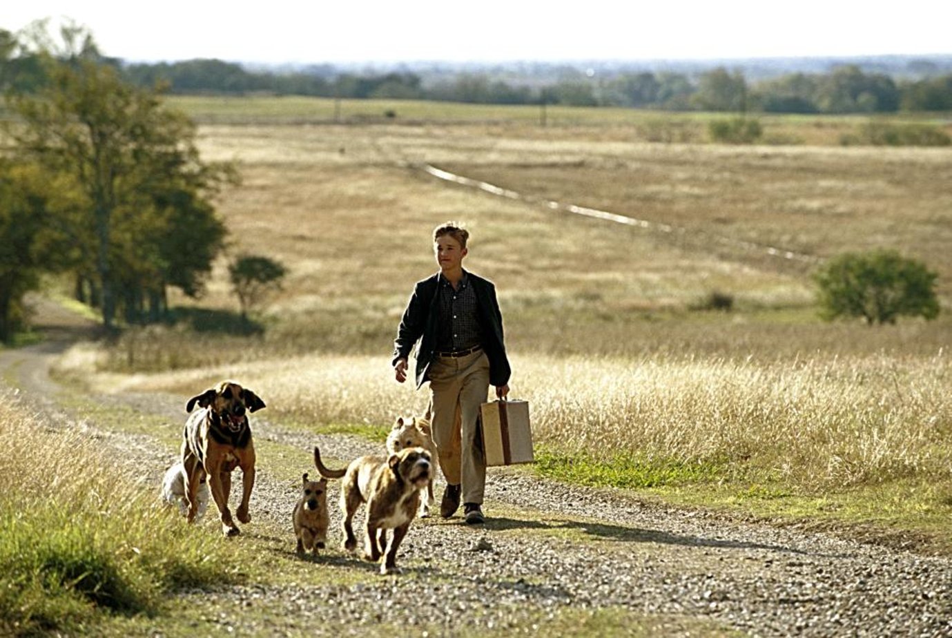 Подержанные львы отзывы. Secondhand Lions 2003. Подержанные львы.