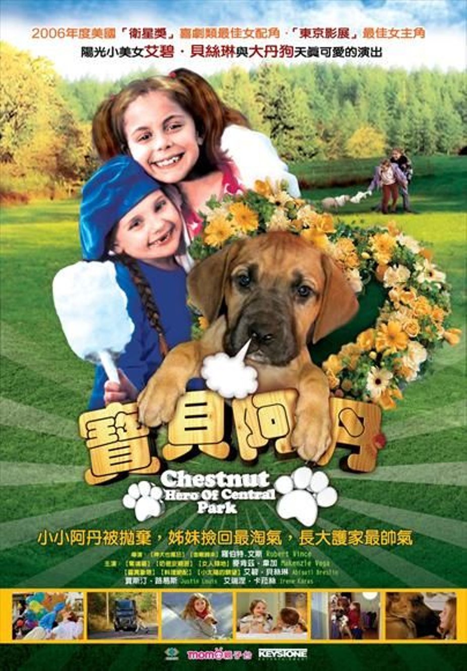 Жил-был песик (Chestnut: Hero of Central Park, 2004) картинки Жил-был песик (Chestnut: Hero of Central Park, 2004) картинки