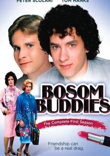 Закадычные друзья (сериал: 2 сезона)