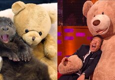 Бенедикт Камбербэтч изобразил выдру. Видео