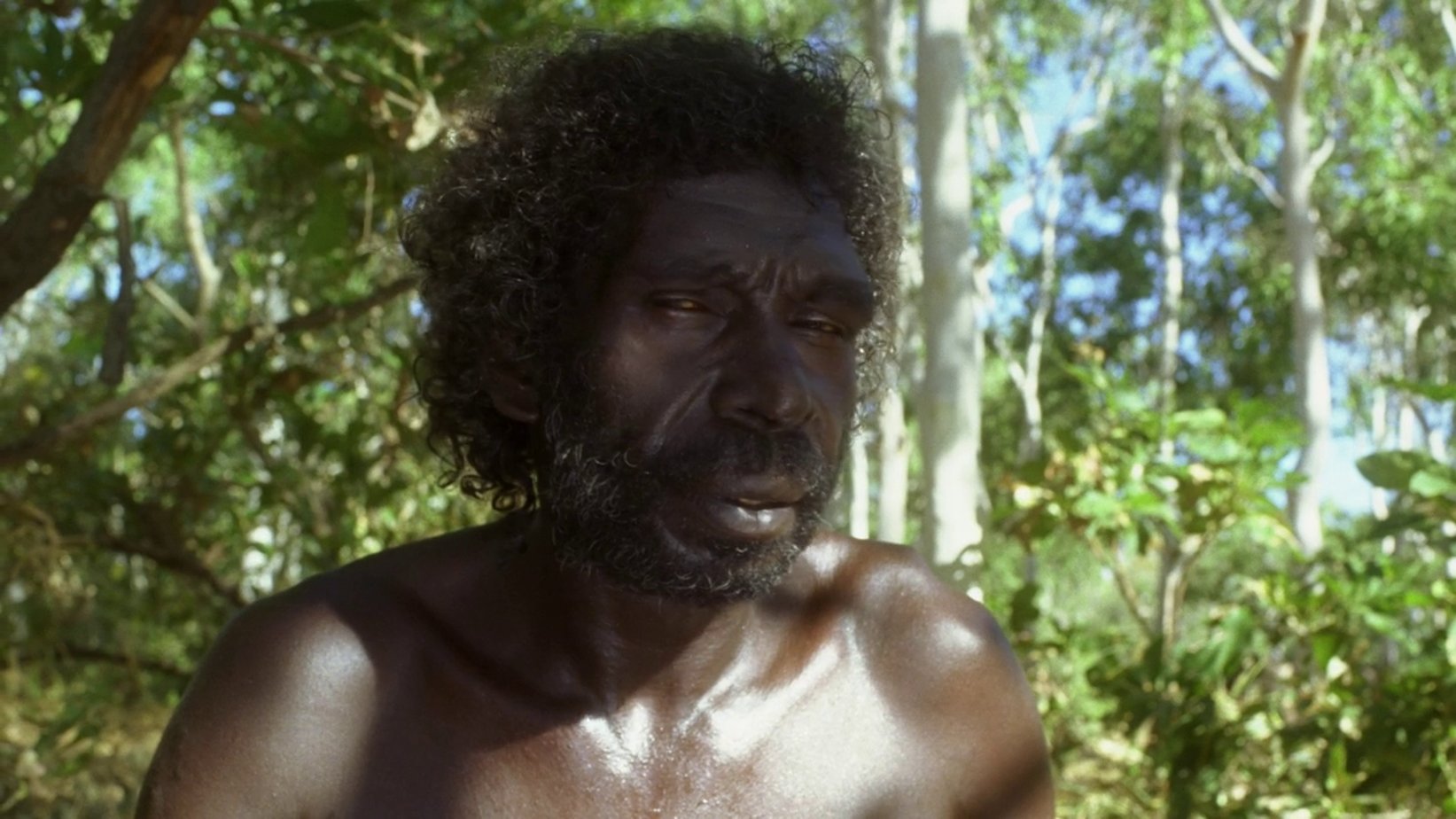 фильм про аборигенов 10 лодок. десять лодок фильм 2006 кадры. фильм про аборигенов 10 лодок. десять лодок 2006. десять каноэ фильм.