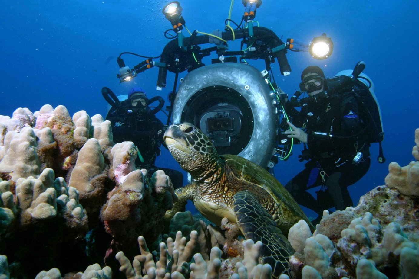 The deep sea. «Тайны подводного Каспия» (2004).. Изучение подводного мира. Исследование океана. Исследование подводного мира.