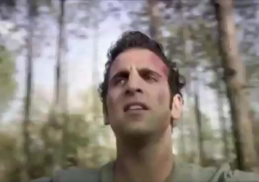 У деревьев есть глаза 2006. Осина обыкновенная (populus tremula). Дерево с глазками. Смешное дерева с глазами. У деревьев есть глаза 2007.