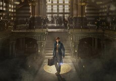 Касса уикенда: «Фантастические твари» продолжают лидировать с большим отрывом, обойдя по сборам все части «поттерианы»