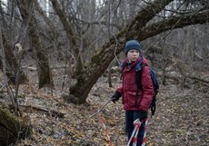 Касса России: «Нелюбовь» Звягинцева стартует с пятого места