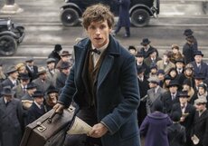 «Фантастические твари 2»: раскрыт сюжет фильма и актёрский состав