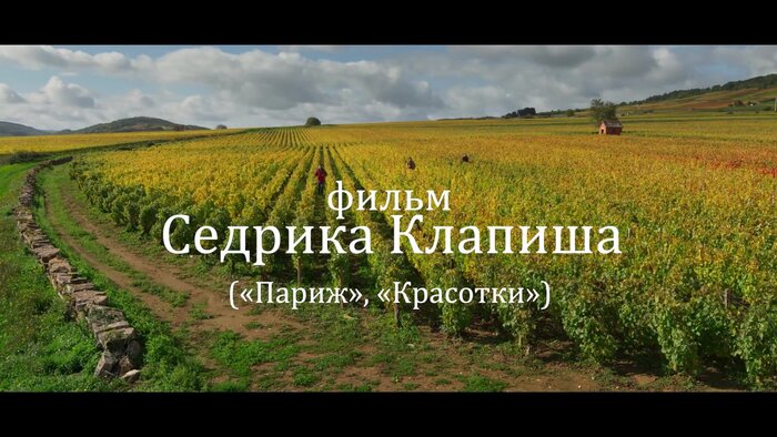 Возвращение в Бургундию (2017) — Возвращение в Бургундию. Дублированный ...