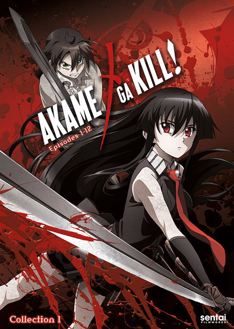 Anime Akame Ga Kill! Lubbock  Аниме, Обои, Дизайн персонажей