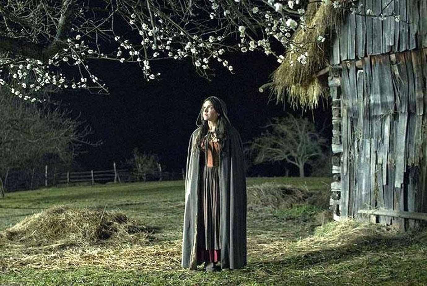 Ученик колдуна 