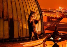 Берлинский кинофестиваль-2018 назвал победителей