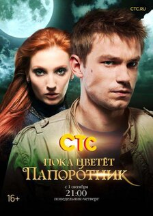 Пока цветёт папоротник (сериал)