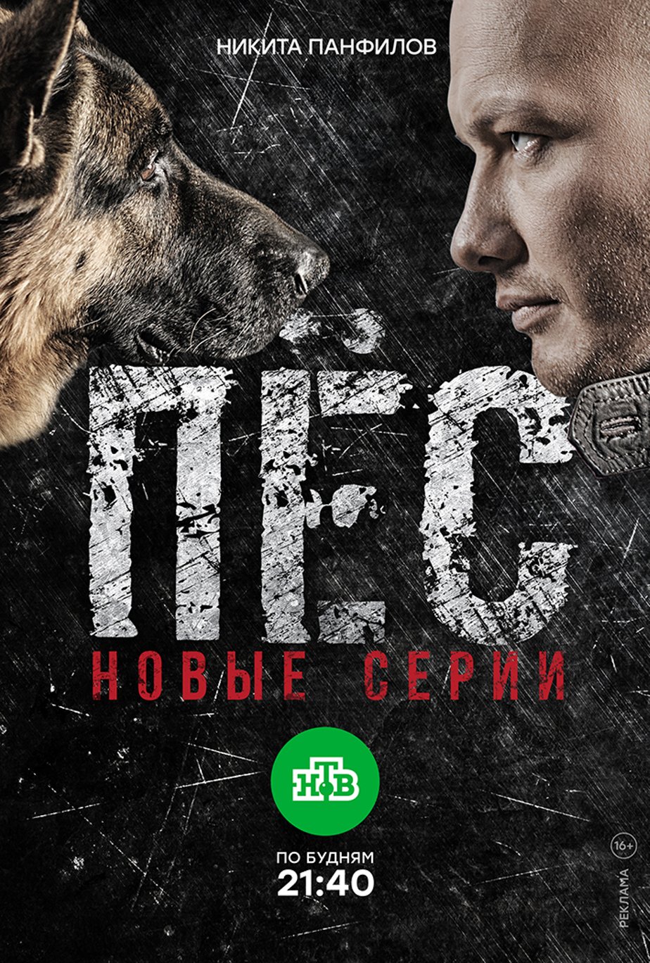 Пес картинки из сериала