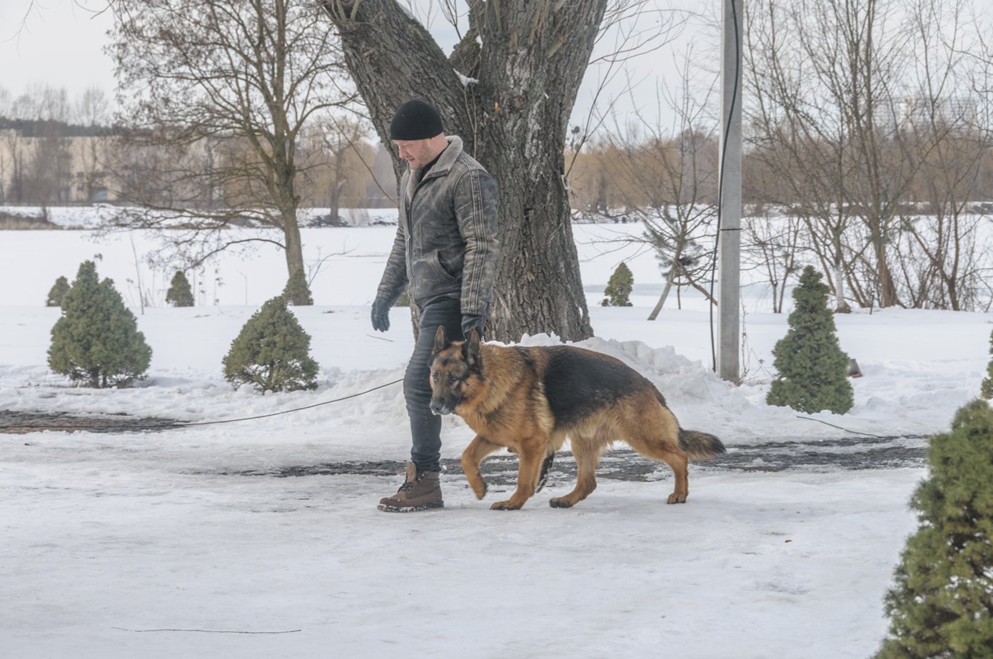 Фото со съёмок: Пёс (сериал: 4 сезон)