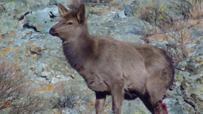 Другая жизнь (2017) — Другая жизнь. Трейлер №1 — Фильм Про