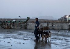 Касса Италии: местный кинопрокат переживает спад – в лидерах голливудские фильмы (10.07.2018)