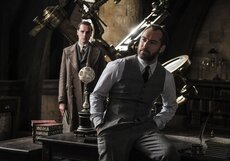 «Фантастические твари 2»: что уже известно о фильме