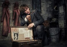 Главные премьеры ноября 2018 года