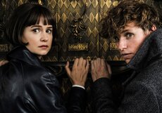 Касса четверга: фильм «Фантастические твари: Преступления Грин-де-Вальда» легко обошёл всех конкурентов (16.11.2018)