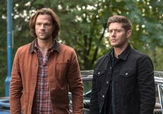 Какие сериалы выживут в телесезон 2019/2020