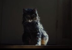 «Кладбище домашних животных» уже в кино. Первые отзывы