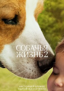 Собачья жизнь 2