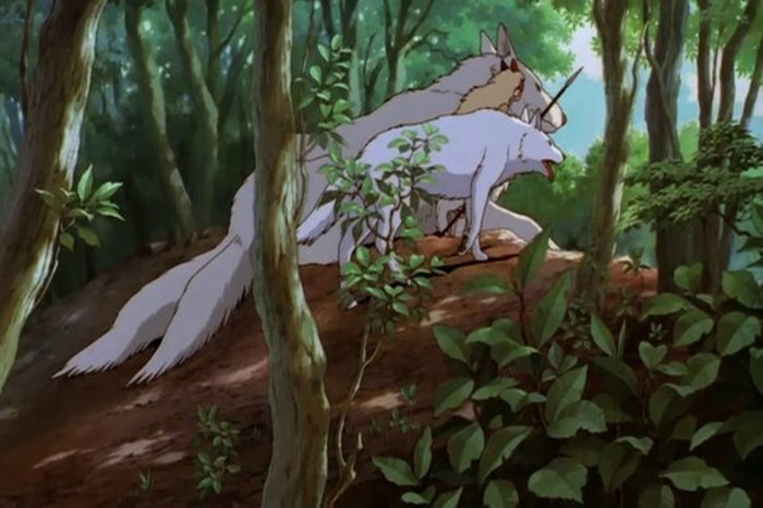 Princessa Mononoke Neozhidannye Fakty O Velikom Multfilme Novosti Anime Na Film Pro