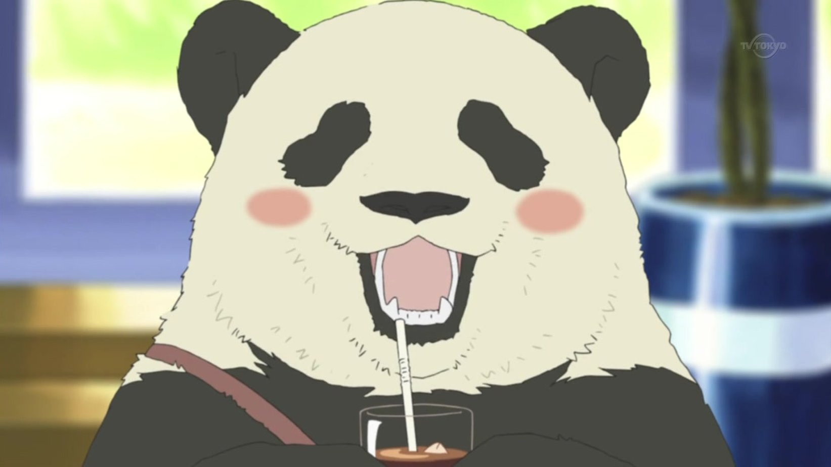 Аниме кафе у белого медведя Панда